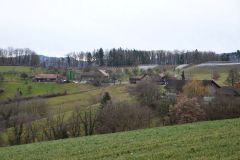DSC01-26