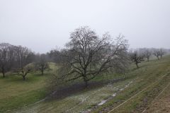 DSC00188