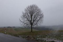 DSC00217