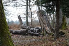 DSC00259