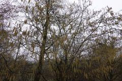 DSC00320
