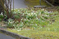 DSC00343
