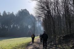DJI_20260304_092957_59