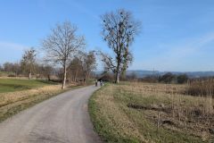 DJI_20260304_095801_95