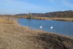 DJI_20260304_104703_168