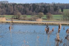 DJI_20260304_105141_176