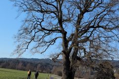 DJI_20260318_084620_237