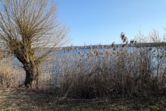 DJI_20260318_091302_286
