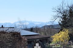 PXL_20260318_093443936
