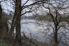 PXL_20260401_071112321