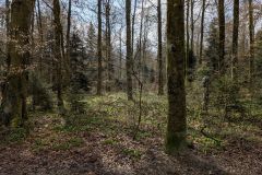 PXL_20260401_085855777