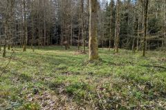 PXL_20260401_090107330