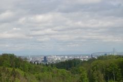DSC07184