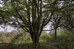 DJI_20260415_085159_22