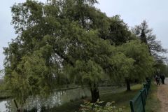 DJI_20260415_085945_38