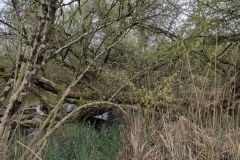 DJI_20260415_091815_58