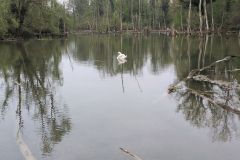 DJI_20260415_093613_96