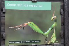 DJI_20260415_095051_126