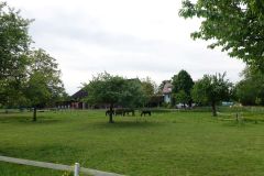 DSC07330