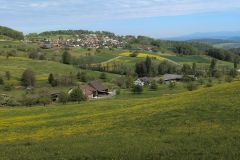 DJI_20260429_102908_226