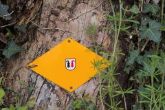 DJI_20260429_102927_228