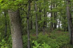 DJI_20260429_104348_252