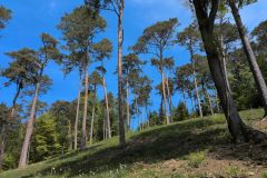 DJI_20260429_142705_349