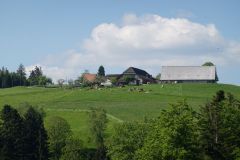 DSC07490