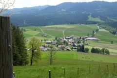 DSC07569