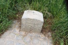 DSCN2480