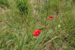 PXL_20260506_073953435