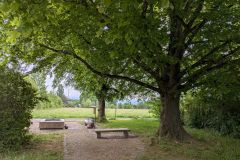 PXL_20260506_081529692