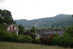 DSC07610