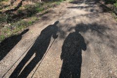 DJI_20260513_084644_457