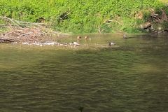 DJI_20260513_090545_476
