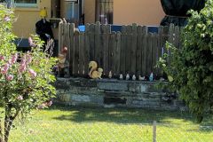 DJI_20260513_100715_578
