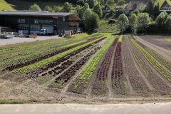 DJI_20260513_101241_588