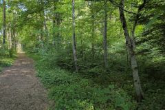 DJI_20260513_101922_602