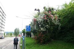 DSC07768
