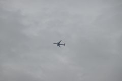 DSC07855