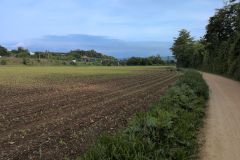 DJI_20260520_083626_709