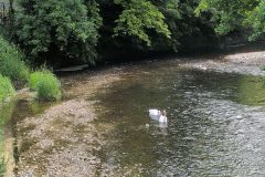 DJI_20260520_085821_764
