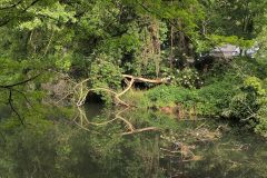 DJI_20260520_090506_781