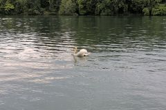 DJI_20260520_095124_842