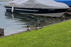 DJI_20260520_095409_849