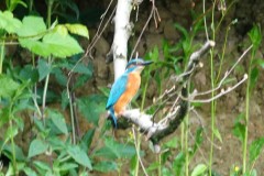 DSC01635_1
