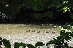 DSCN1681