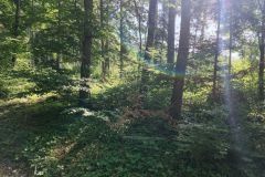 DJI_20260527095849_0089_D