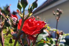 DJI_20260527103320_0131_D