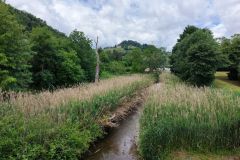 DJI_20260603121534_0181_D